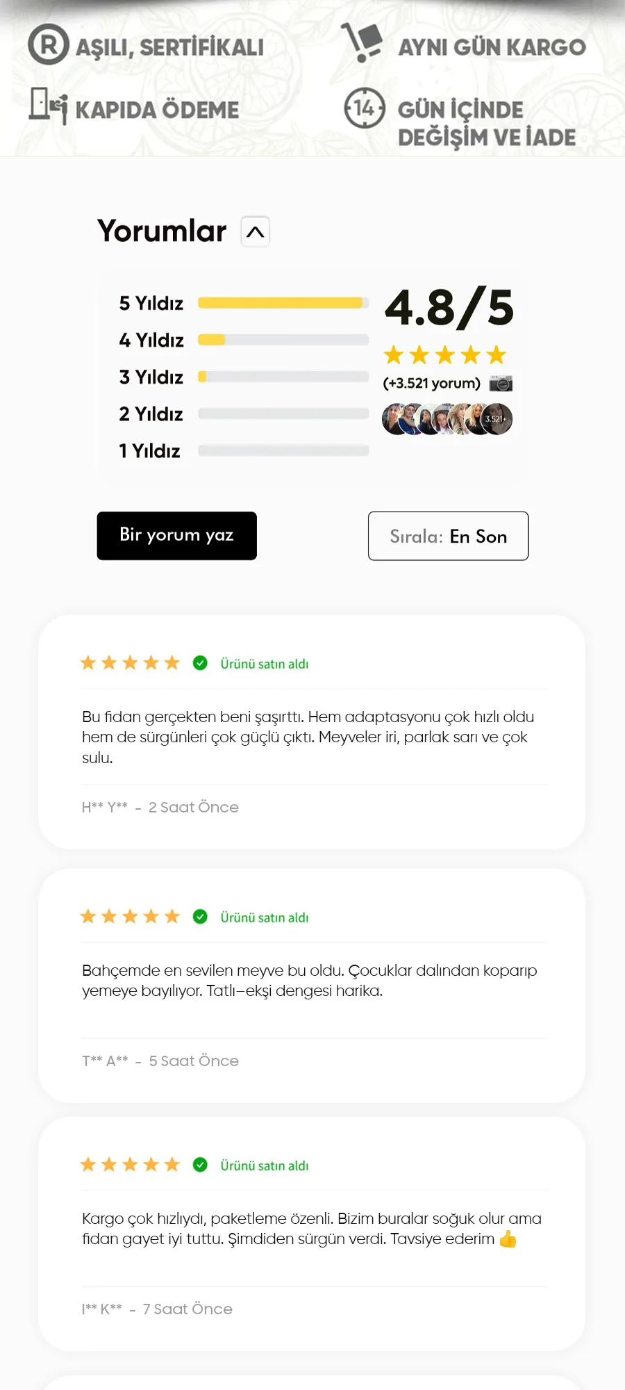 japongoldenerik.jpg 6