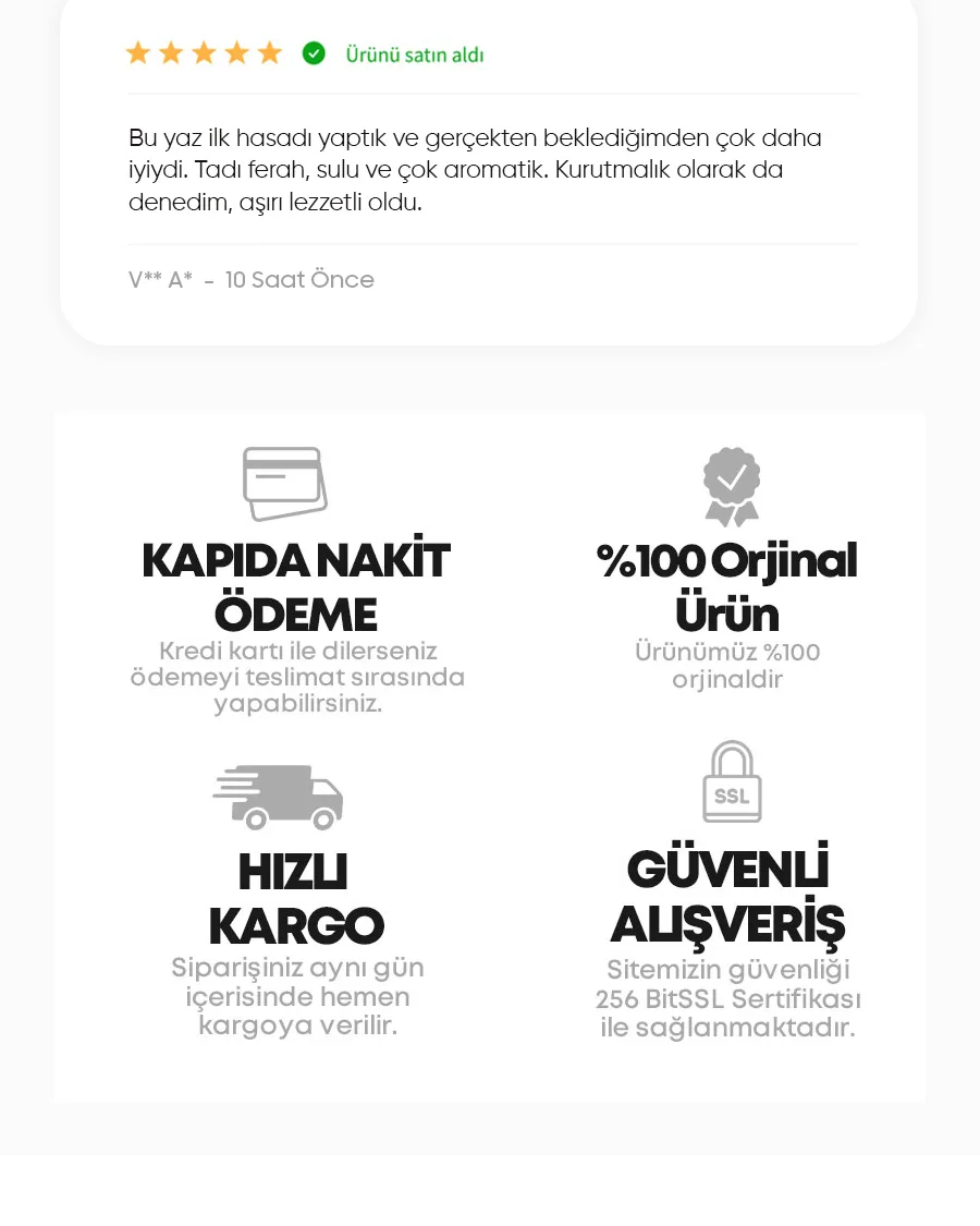 japongoldenerik.jpg 7